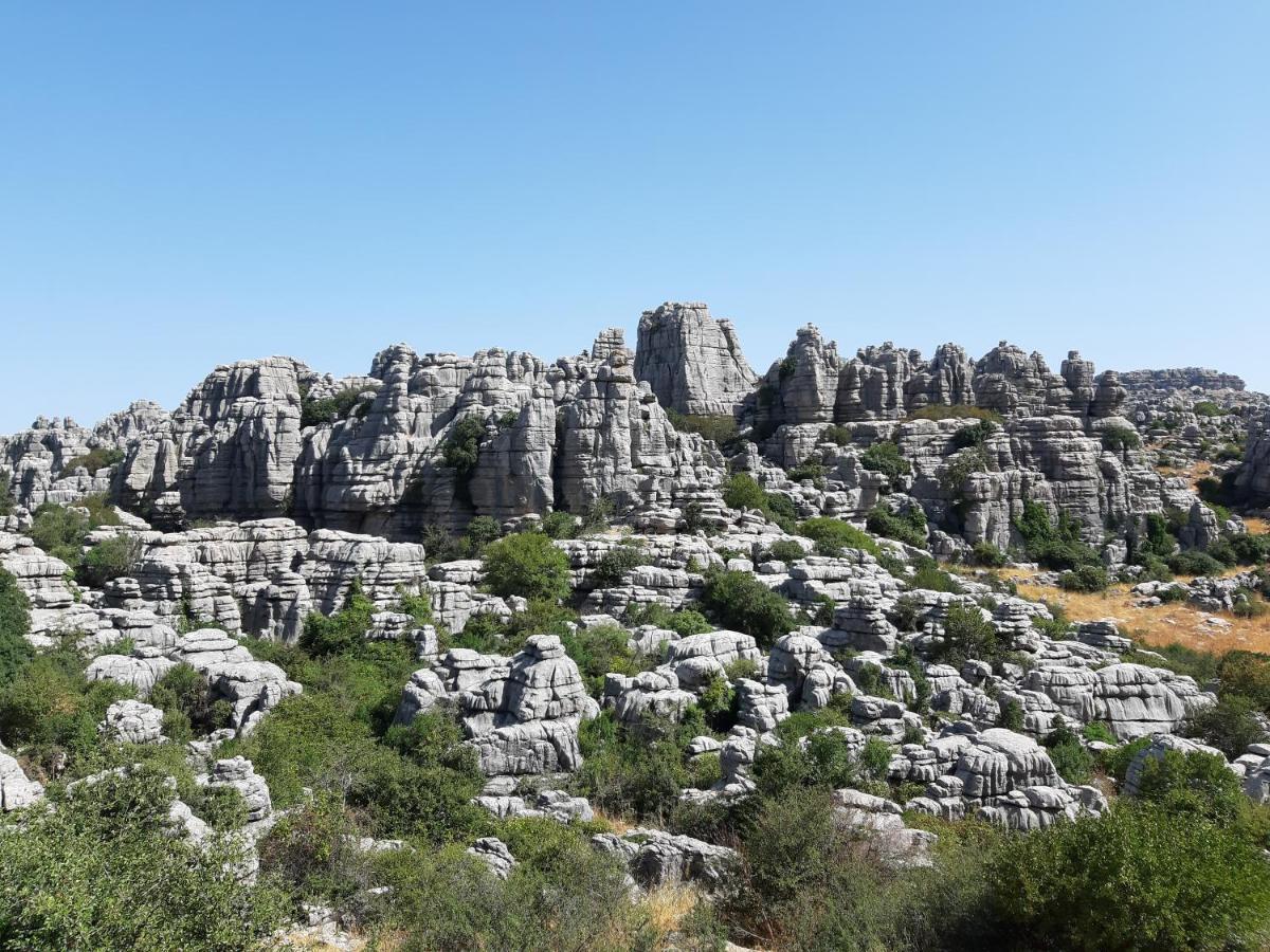 La Joya Casa Lo Pinto Private Pool Villa South Of El Torcal -Unesco- מראה חיצוני תמונה
